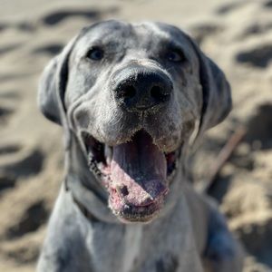 Meet your Posher, Mark